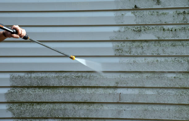 Best Deck and Patio Pressure Washing in East Dubuque, IL